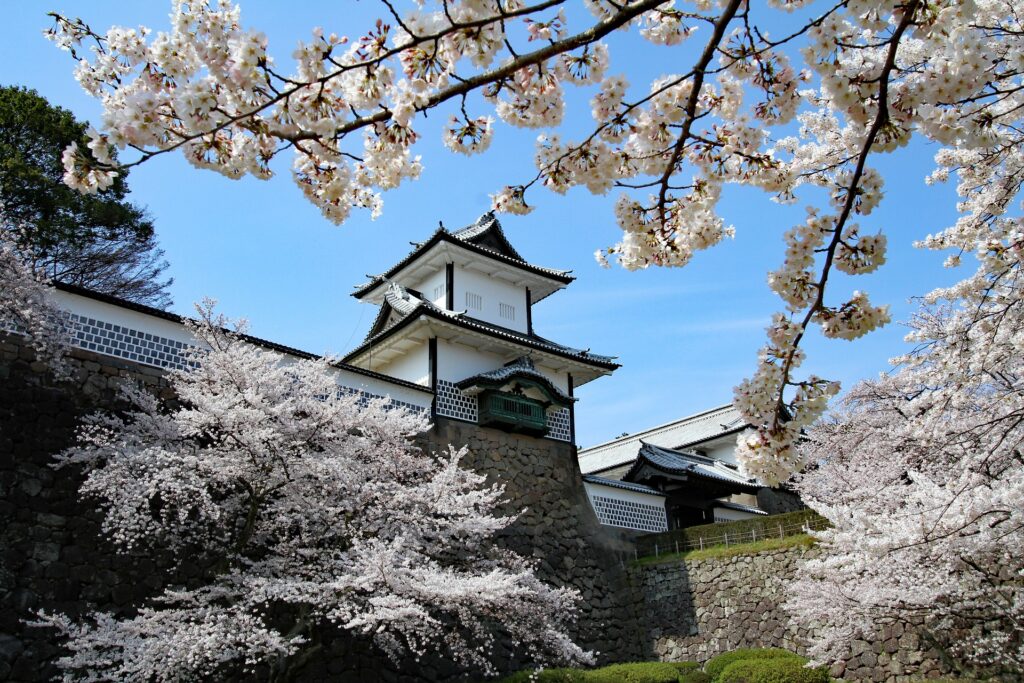 Kanazawa Castle Park illuminated during cherry blossom season