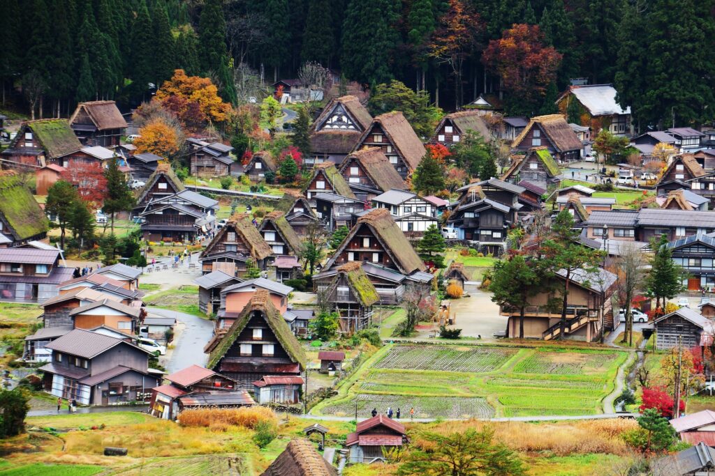 Traditional gassho-zukuri houses in Shirakawa-go in a mountain village setting