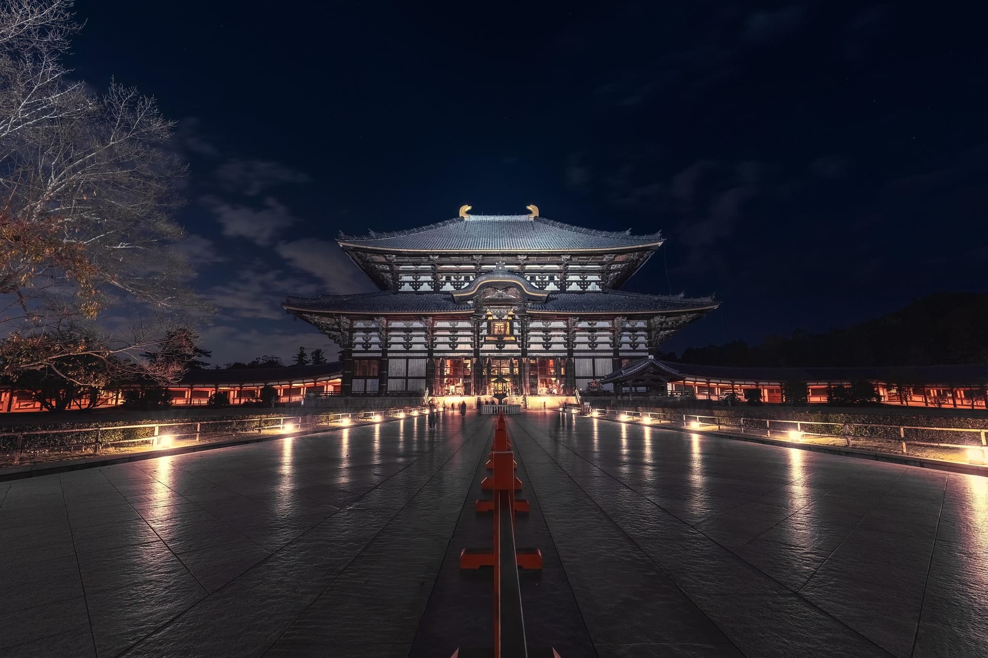 Things to Do in Nara at Night: Deer, Views, Dinner & a Safe Evening ...