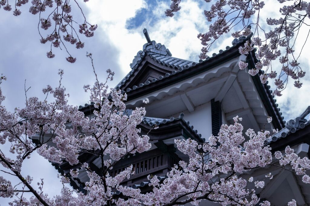 Spring scenery in Kanazawa during cherry blossom season