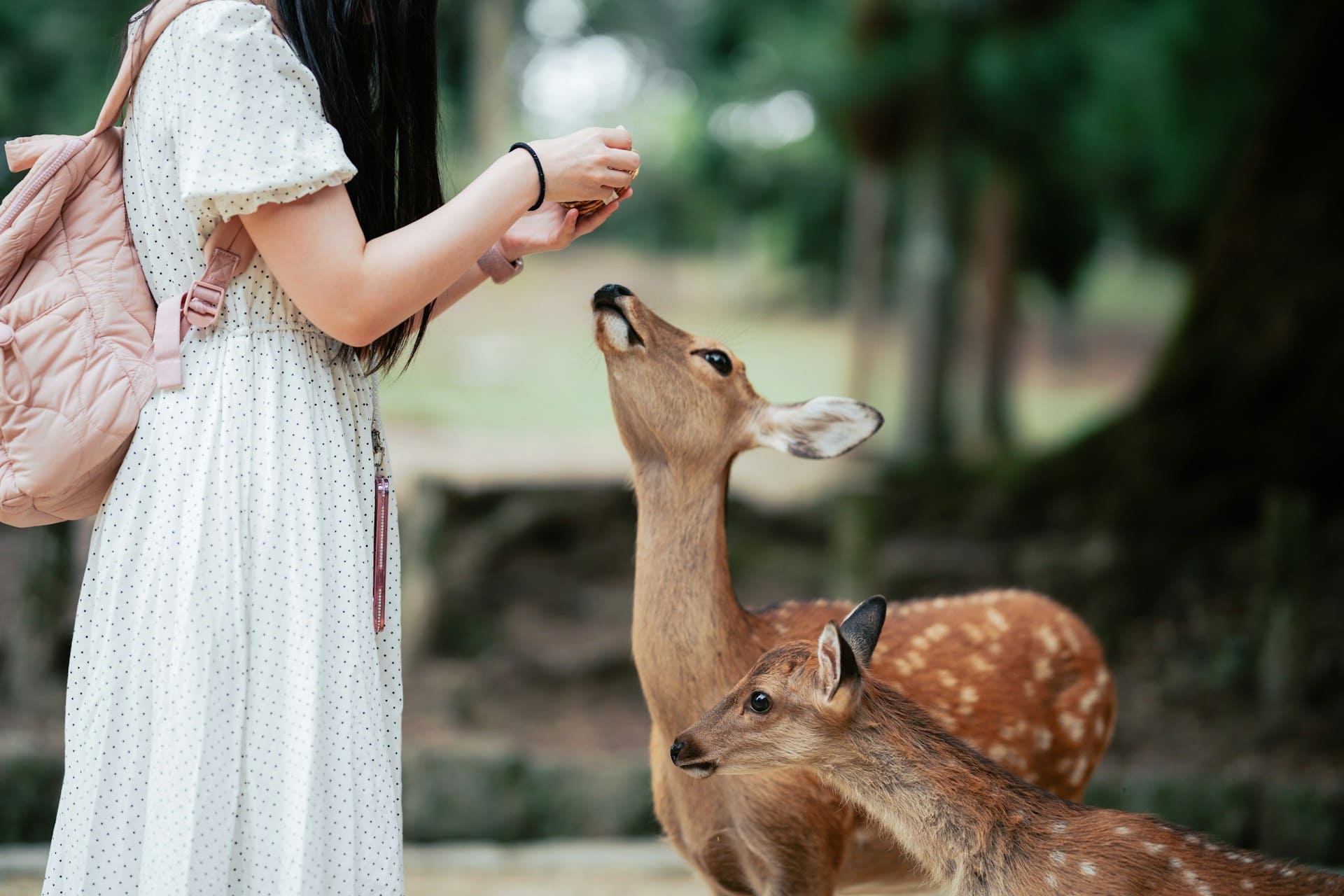 Nara
