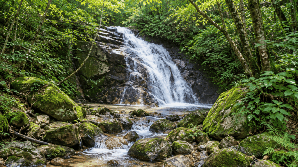 Odaki and Medaki Falls surrounded by forest along the Nakasendo trail between Magome and Tsumago