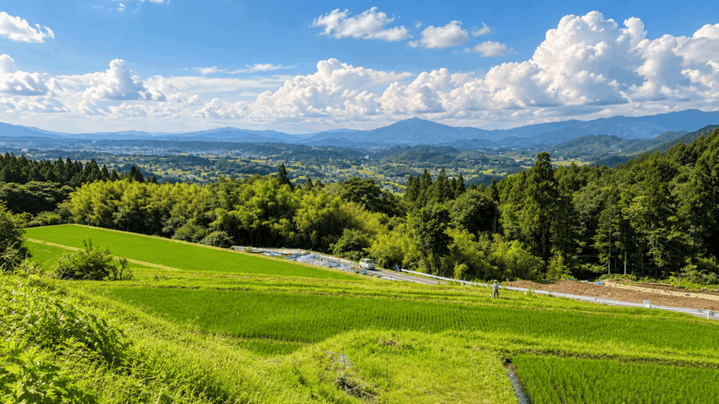 Green mountain countryside and rice fields along the Nakasendo route in the Kiso region