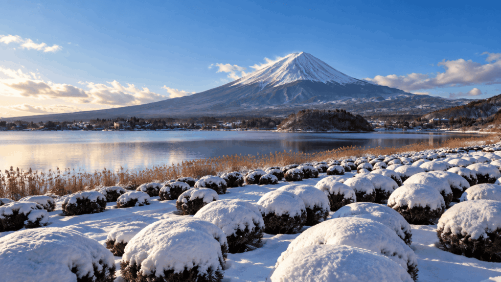 Snow-covered bushes at Oishi Park overlooking Lake Kawaguchi and Mount Fuji under a clear winter sky
