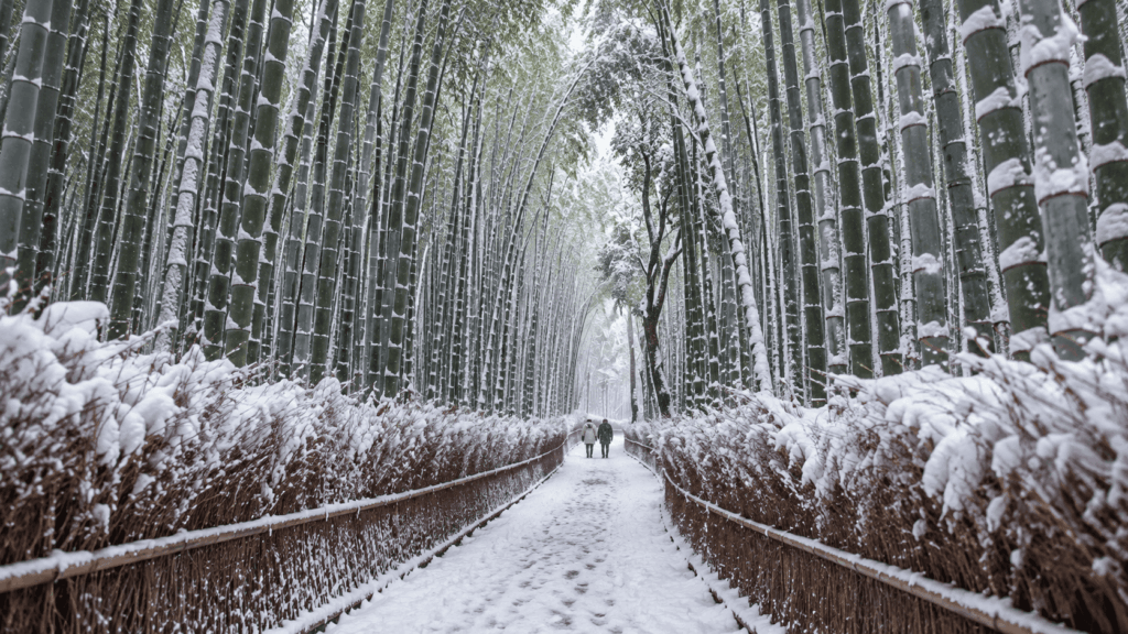 Visitors walking along a snow-covered path through the towering bamboo stalks of Arashiyama Bamboo Grove in Kyoto